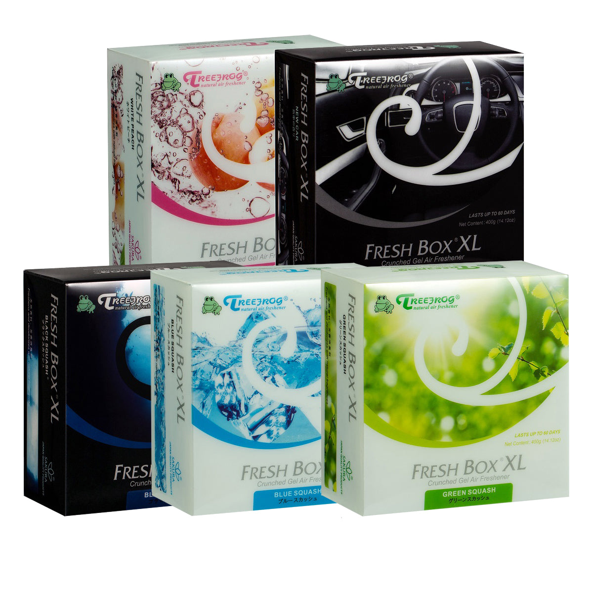 Treefrog Fresh Box XL (24-Ct Carton)